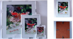 Foto rāmis 21x29.7cm stikla 