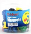 Tāfeles magnēti 20mm krāsaini Trident 1gab.